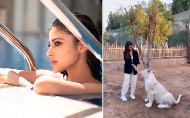 रस्सी से शेर को खींचती हुई नजर आईं Mouni Roy, फैंस बोले इतनी पतली हो गईं . . .