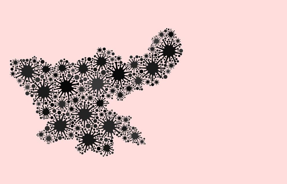 फिल्म कोविड-19 बेस्ट एनिमेशन अवार्ड के लिए हुआ चयनित