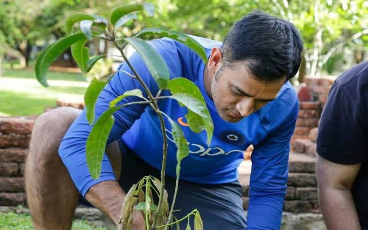 World Environment Day 2023: BCCI पूरे देश में लगाएगा करीब 1.5 लाख पेड़, पर्यावरण को मिलेगी मदद