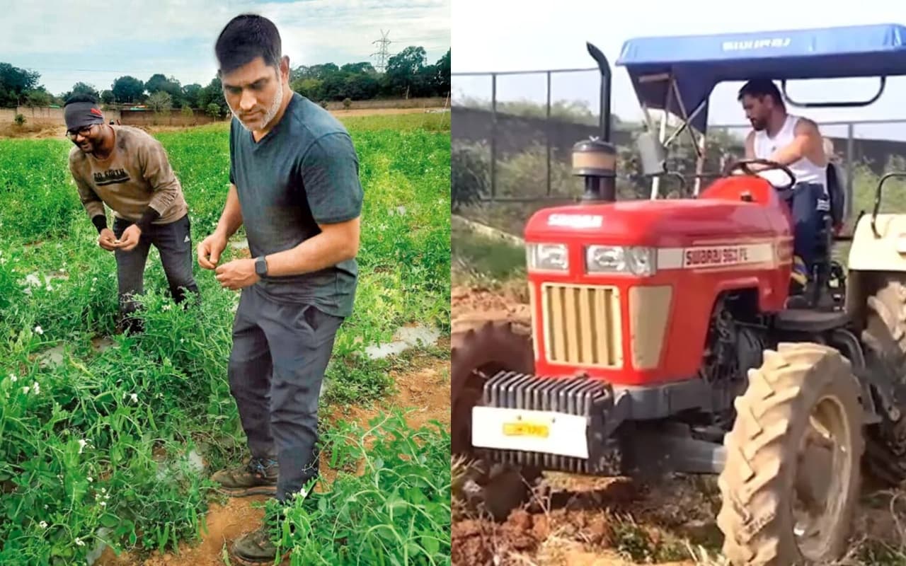 MS Dhoni Birthday: 44 एकड़ के अपने फॉर्महाउस में क्या-क्या उगाते धोनी ? जानिए यहां