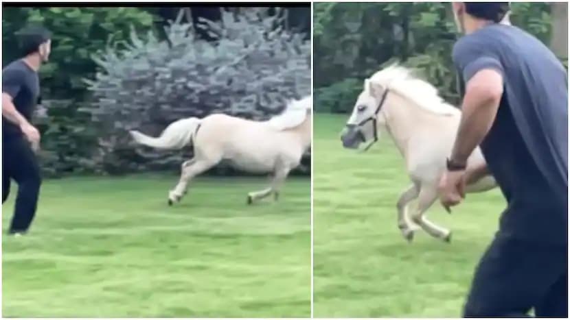 VIDEO: धाकड़ अंदाज में Dhoni ने घोड़े के साथ लगायी रेस, माही को देख फैंस हुए इमोश्नल