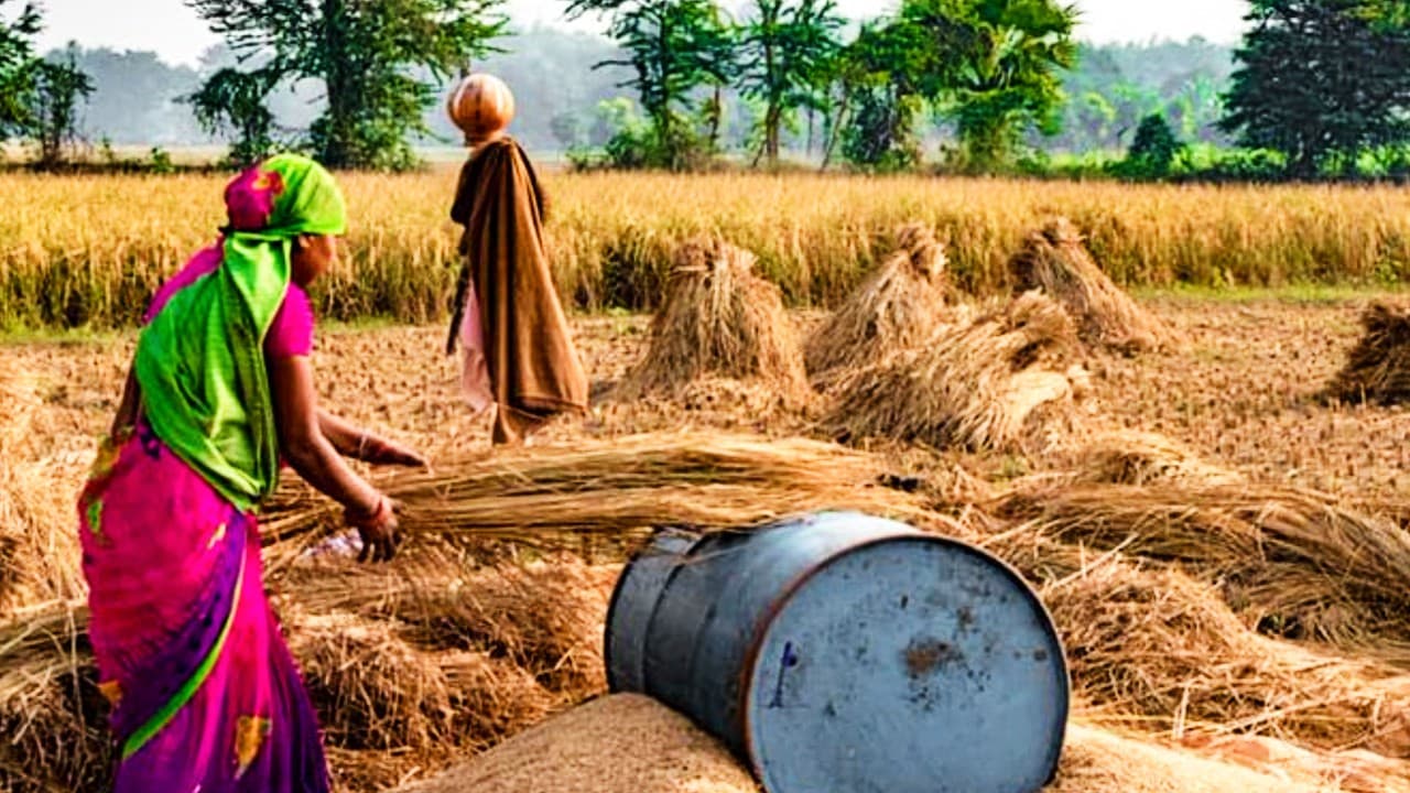 शेयर बाजार की तरह मिलेगा कीमतों का रुझान, अब ऑनलाइन फसल बेचेंगे बिहार के किसान