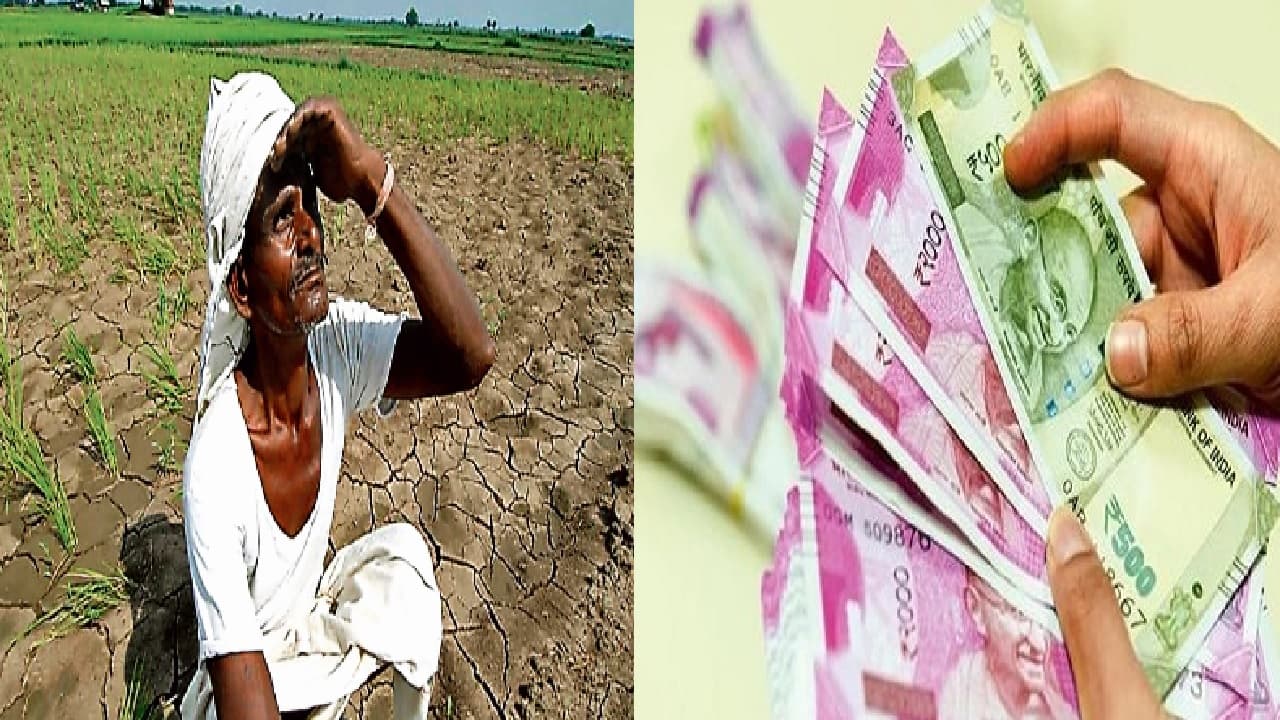 झारखंड में मुख्यमंत्री सुखाड़ राहत योजना पोर्टल पर कब तक रजिस्ट्रेशन करा सकेंगे किसान, ये है अपडेट