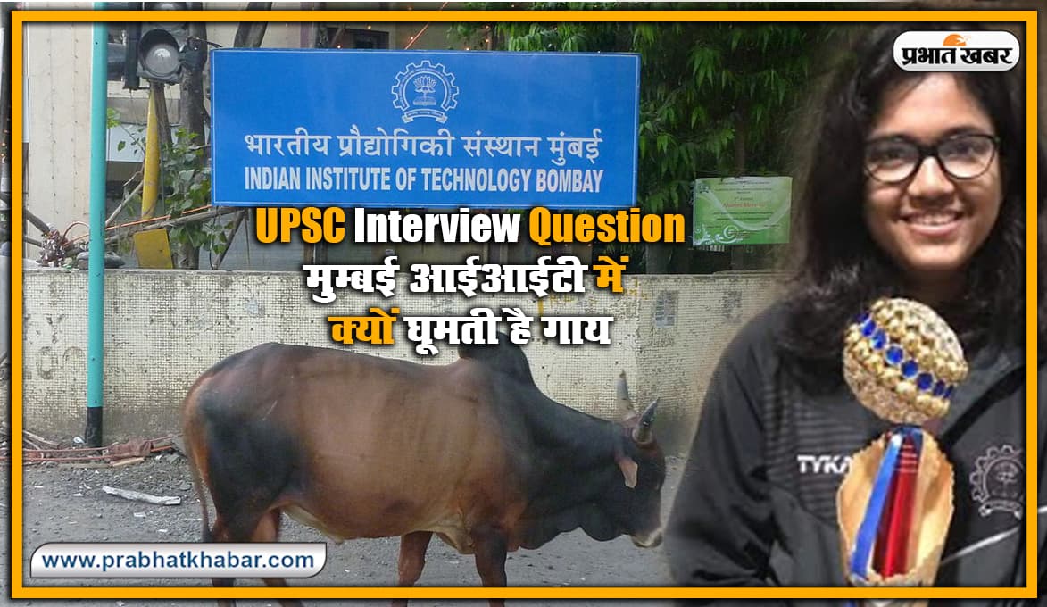 UPSC इंटरव्यू का सवाल ! IIT मुम्बई में क्यों घूमती है गाय? जब IAS बनीं सिमी ने दिया इसका रोचक जबाब