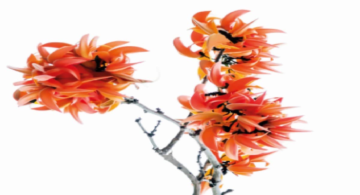 Taarak Mehta Ka Ooltah Chashmah : 'बबीता जी' शिमर ड्रेस में दिखीं बेहद हॉट, फैंस बोले- 'हर किसी को टप्पू...'