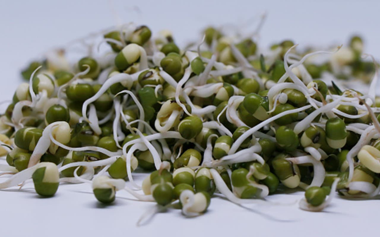 5 Health Benefits Of Sprouted Moong:  रोजाना एक प्लेट अंकुरित मूंग खाने के ये हैं 5 फायदे
