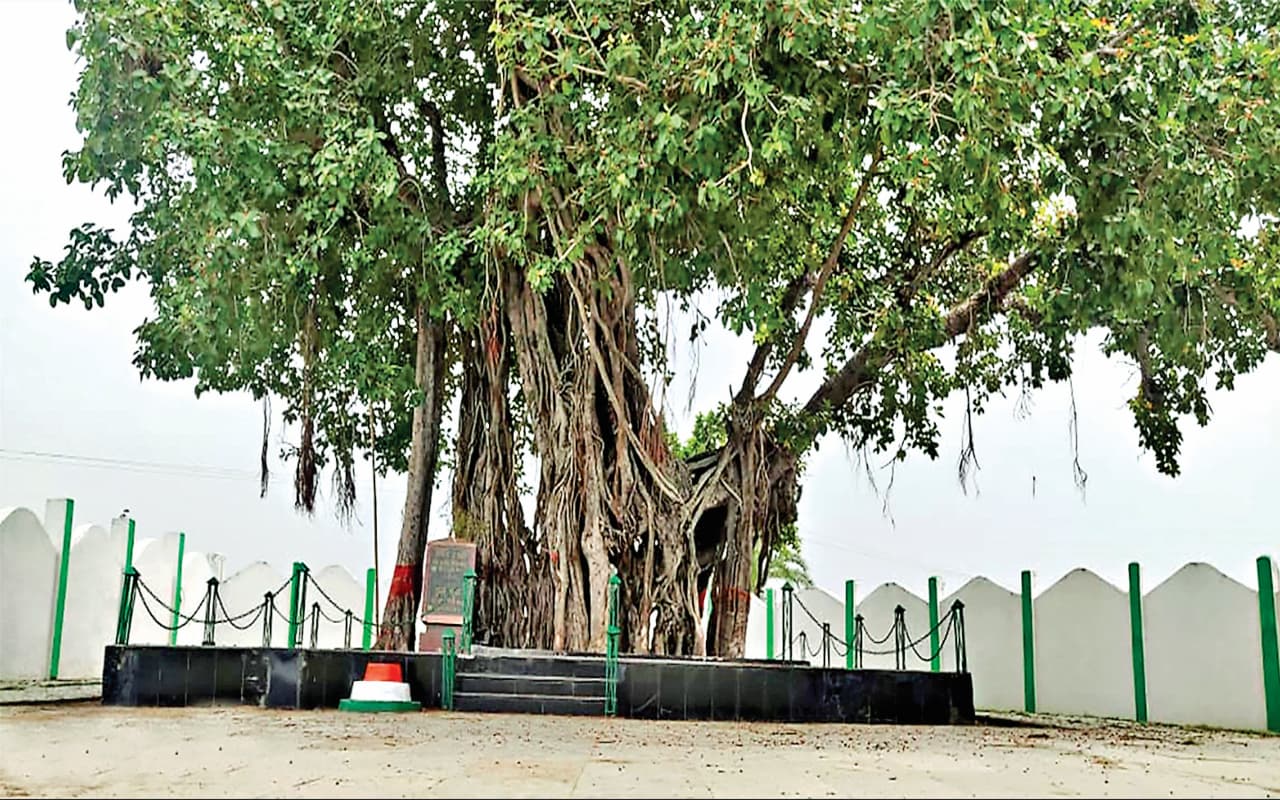 My Mati: आज भी प्रासंगिक है अमेरिका के मूलनिवासियों का इतिहास