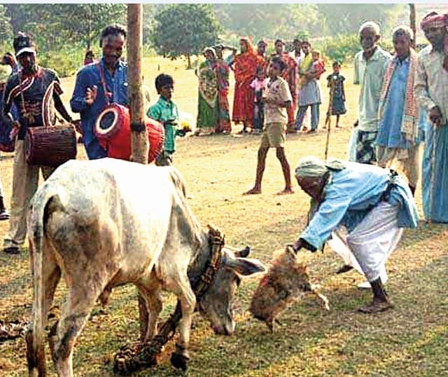 पुजाक महत