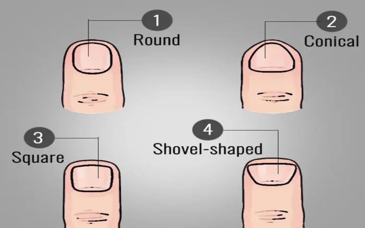 Nail Personality Trait: नाखूनों की बनावट खोलेगी आपकी पर्सनालिटी का राज, जानिए कैसे