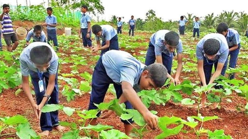 बिहार में अब बच्चे प्राइमरी से ही पढ़ेंगे खेती-किसानी, परिषद की बैठक में लगेगी अंतिम मुहर