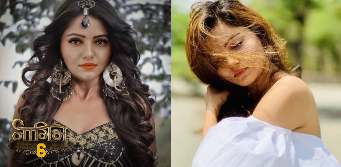 Bigg Boss 14 विनर Rubina Dilaik नजर आएंगी नए अवतार में, Naagin 6 के लिए अप्रोच किया जा रहा है एक्ट्रेस को