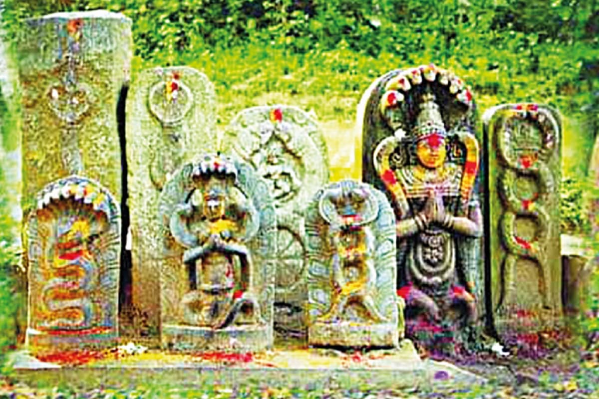 जीव संरक्षण व प्रकृति से जुड़ाव का पर्व है नागपंचमी