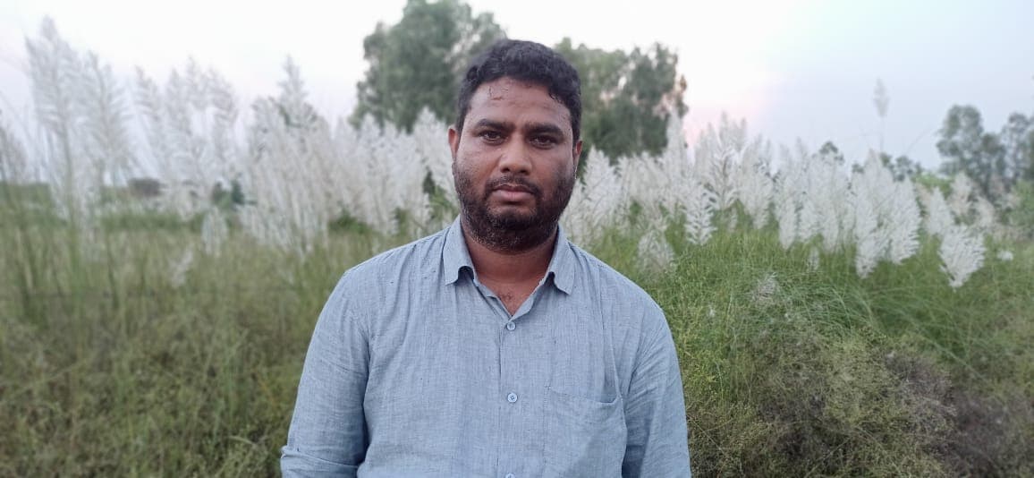 'उगे अगस्त फूले बन कास, अब छोड़ो बरखा की आस': कहावतों की मानें तो अब यूपी में बारिश की नहीं रह गयी आस