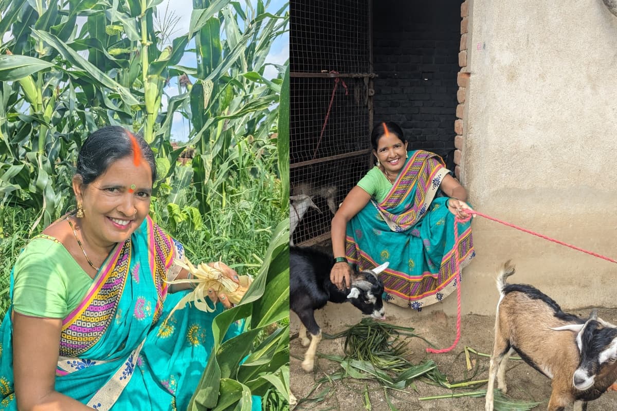 झारखंड: गरीबी को मात देकर कैसे लखपति किसान बन गयीं नारो देवी? ड्राइवर पति के साथ जी रहीं खुशहाल जिंदगी