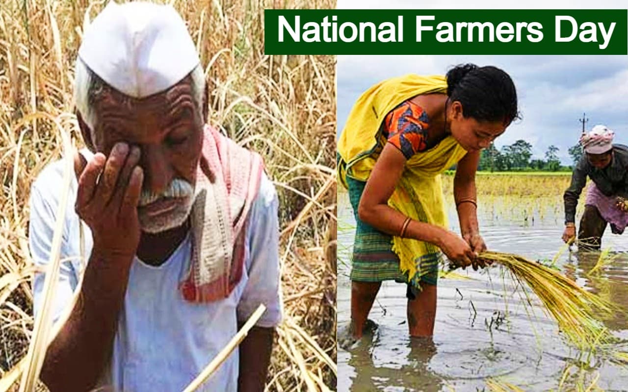 Kisan Diwas 2022: देश में दशक दर दशक घटते गये किसान, बढ़ते गये कृषि श्रमिक, क्या रही वजह?