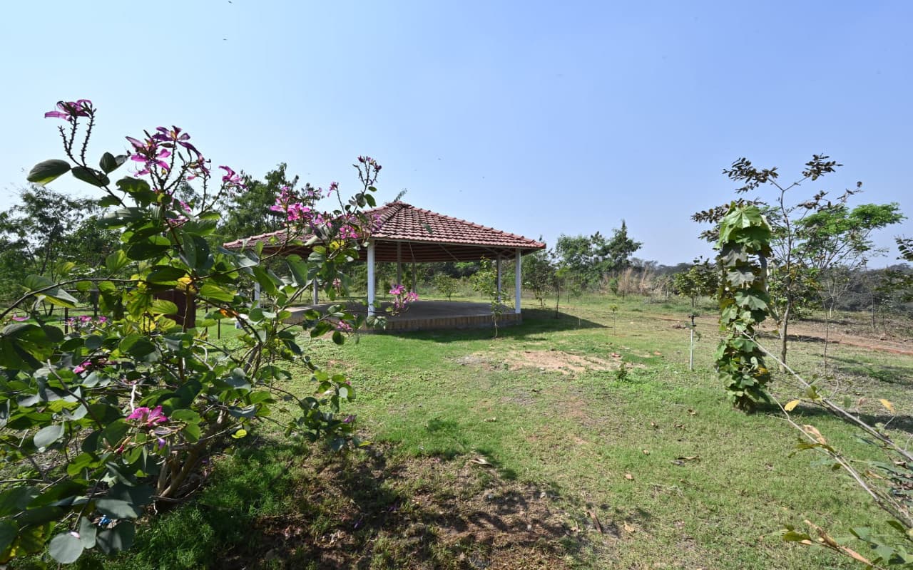 झारखंड : जमशेदपुर वासियों के लिए खुला नेचर ट्रेल, जानें खासियत