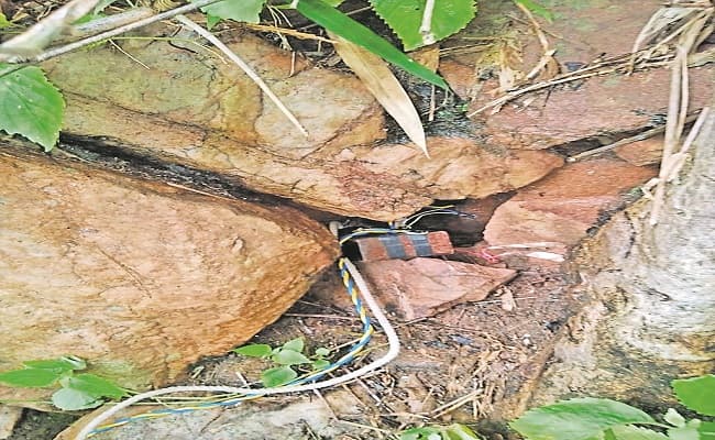 C-60 Force: जानिए गढ़चिरौली में खूंखार नक्सलियों का खात्मा करने वाले 'क्रैक कमांडो' टीम कैसे करती है काम