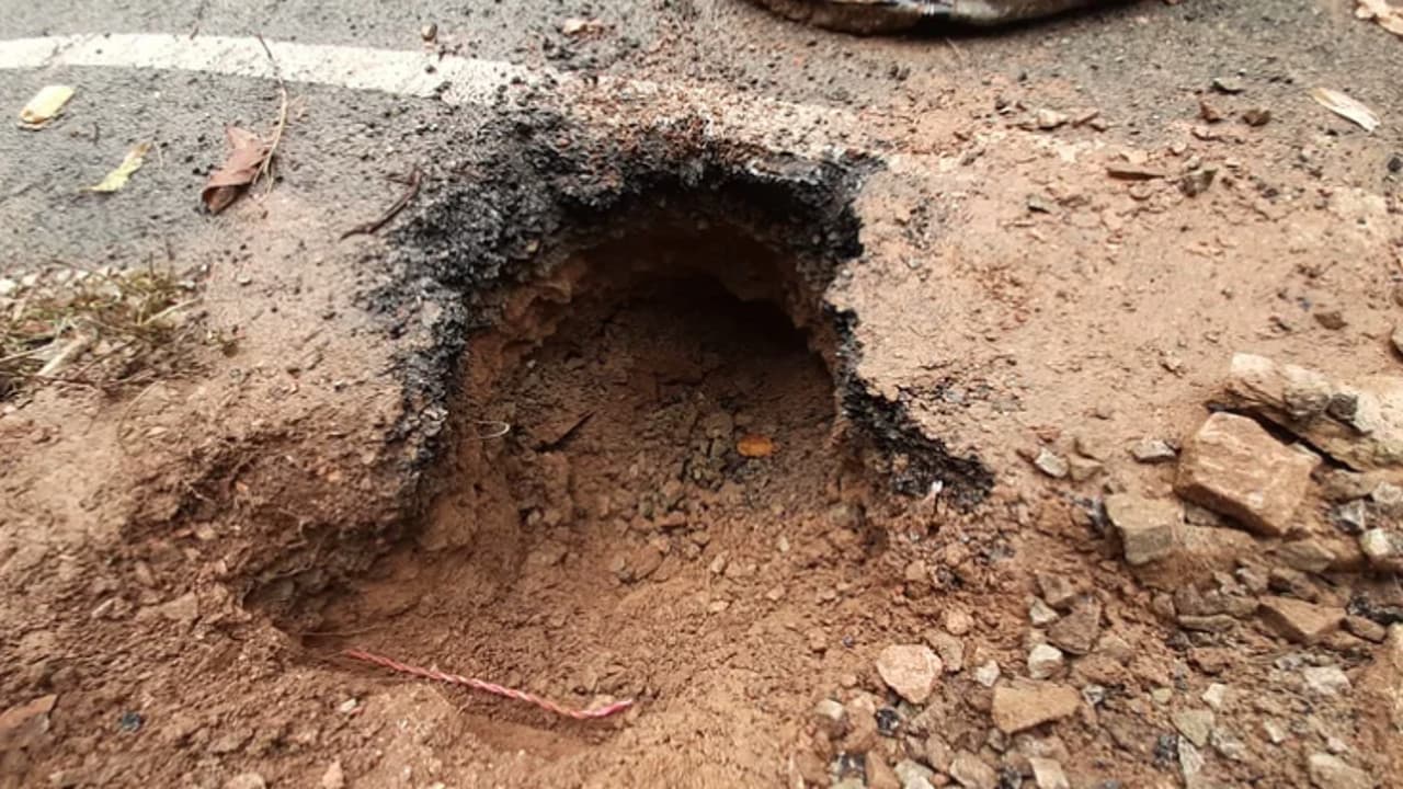 छत्तीसगढ़ में IED ब्लास्ट, नक्सलियों के विस्फोट में एक जवान शहीद, इलाके में मुठभेड़ जारी