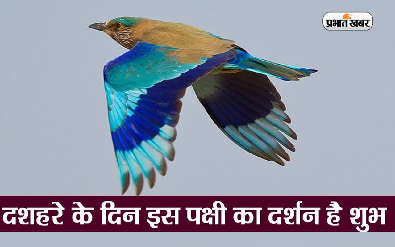 Dussehra 2022: दशहरे के दिन इस पक्षी के दर्शन से पूरी होती है हर इच्छा, ये है पौराणिक मान्यता
