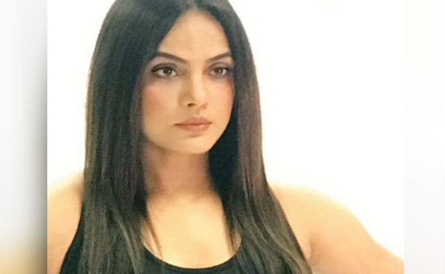 हॉलीवुड फिल्म 'नेवर बैक डाउन : रिवोल्ट' में दिखेंगी नीतू चंद्रा