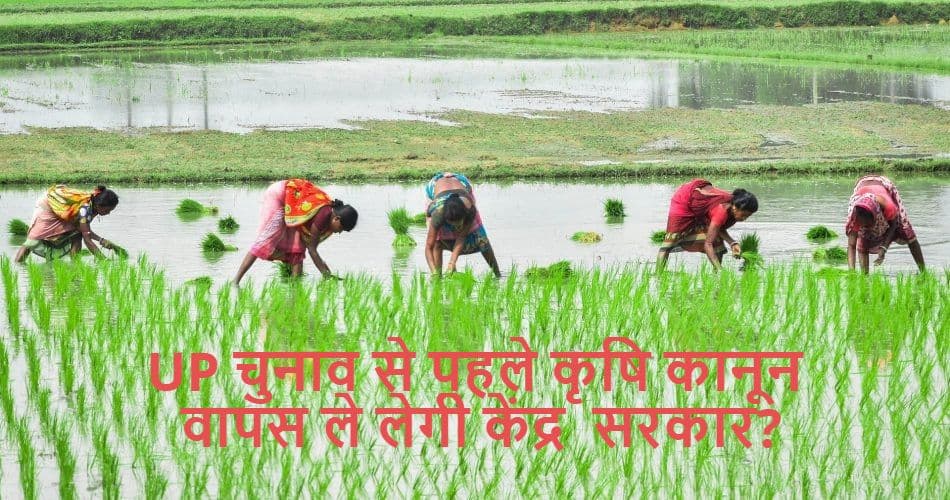 UP विधानसभा चुनाव को देखते हुए कृषि कानूनों को वापस ले सकती है केंद्र सरकार, BJP नेता ने क्यों कह दी ऐसी बात?