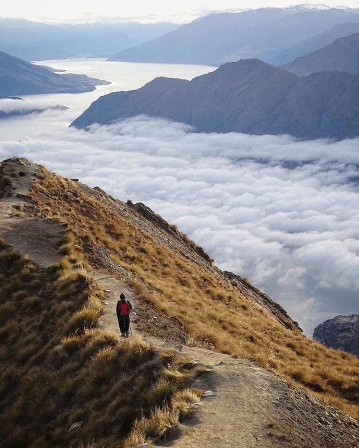 Coronavirus Outbreak : कोरोना से बचने के लिए इन देशों की नागरिकता पाना चाहते हैं लोग, रिपोर्ट में खुलासा