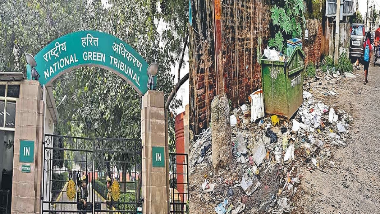कचरे की वजह से बिहार पर लगा 4000 करोड़ का जुर्माना, NGT ने क्यों लिया ऐसा सख्त फैसला, जानिए..