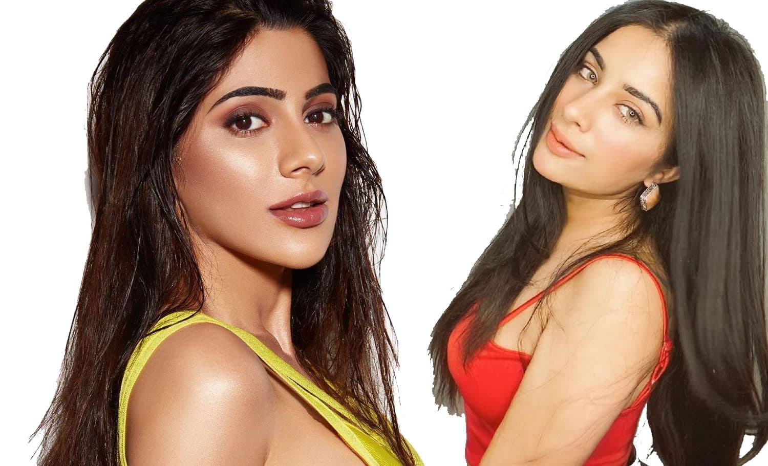 बिग बॉस 14: निक्की तंबोली ने नाखून से नोंची सारा गुरपाल की आंखें, चोटिल हुईं पंजाबी सिंगर