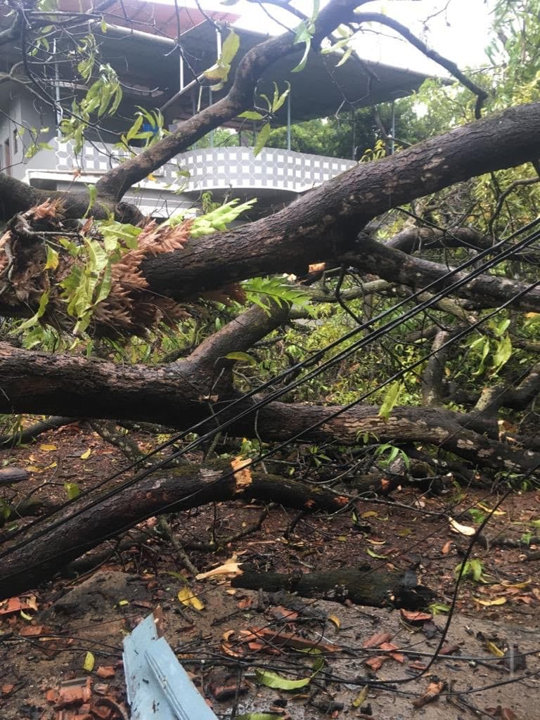 Cyclone Alert : निसर्ग तूफान के बाद और भी कई साइक्लोन आएंगे, जानिए क्या कह रहे मौसम वैज्ञानिक