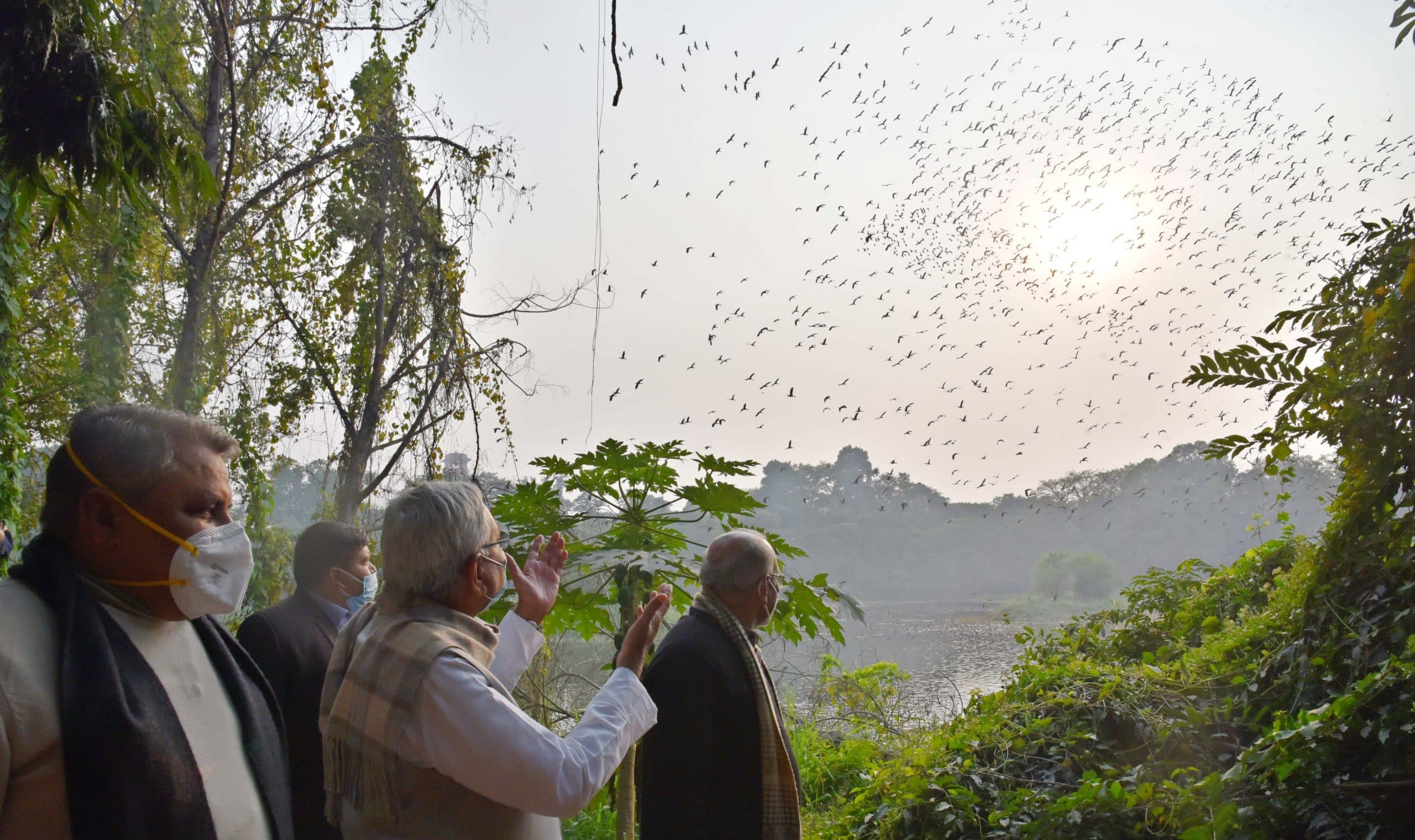 Bihar News: बिहार में कल से पहले 'कलरव' की शुरुआत, सीएम नीतीश करेंगे विदेशी मेहमानों से भरे उत्सव का आगाज