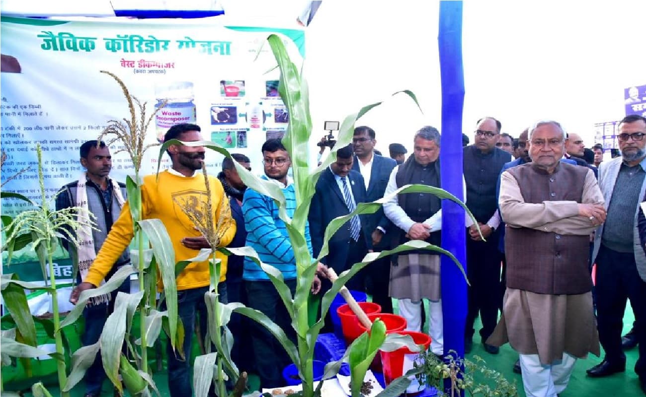 पटना के टाल क्षेत्र का और तेजी से होगा विकास, बिहार सरकार ने अलग से बनायी है योजना