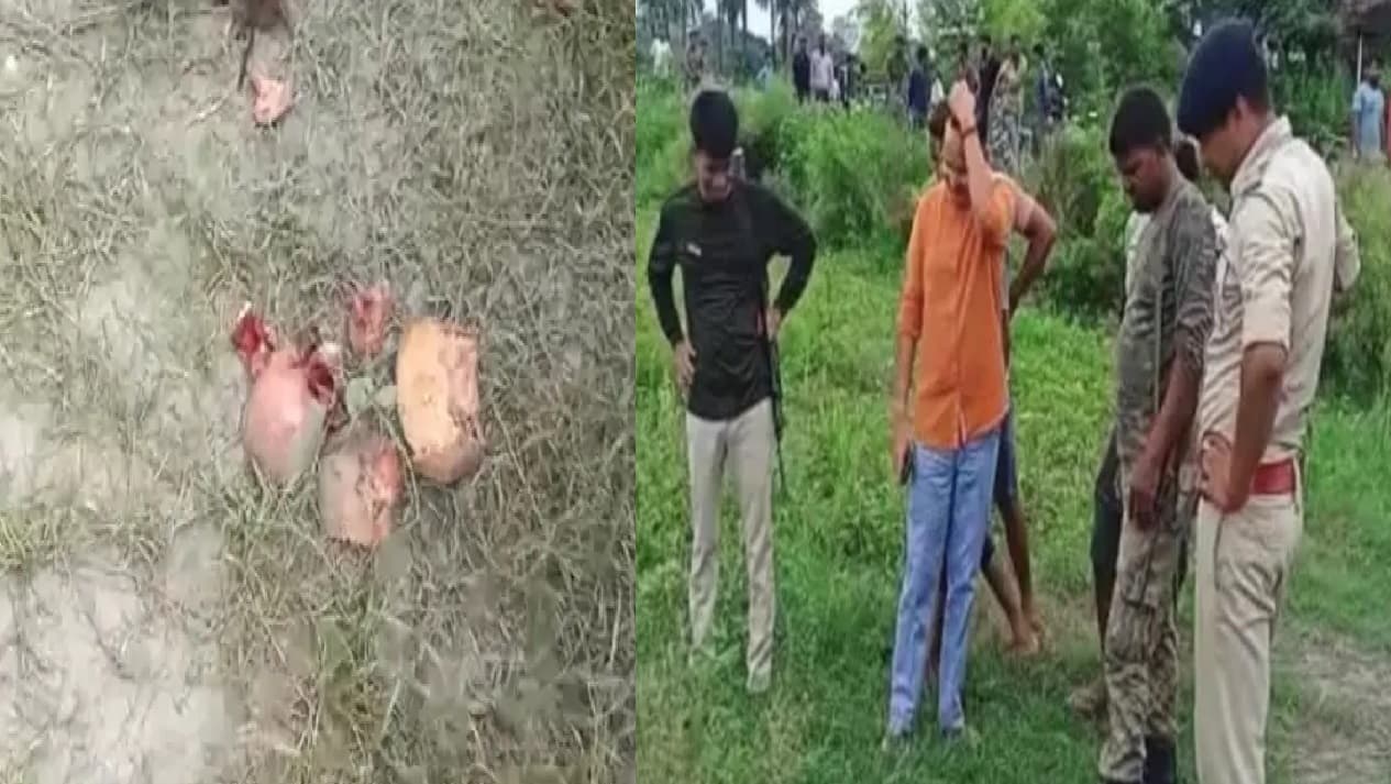 वैशाली में कद्दू को कंकाल समझ ग्रामीणों ने बुला ली पुलिस, जानें फिर क्या हुआ