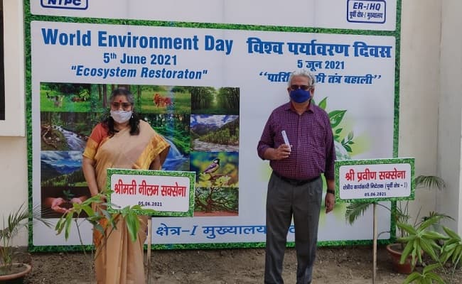 स्वस्थ पहल : पर्यावरण दिवस के मौके पर एनटीपीसी के ईस्टर्न रीजन में बड़े पैमाने पर रोपे गए पौधे, आरईडी प्रवीण सक्सेना ने पटना में पौधारोपण कर कार्यक्रम का किया शुभारंभ