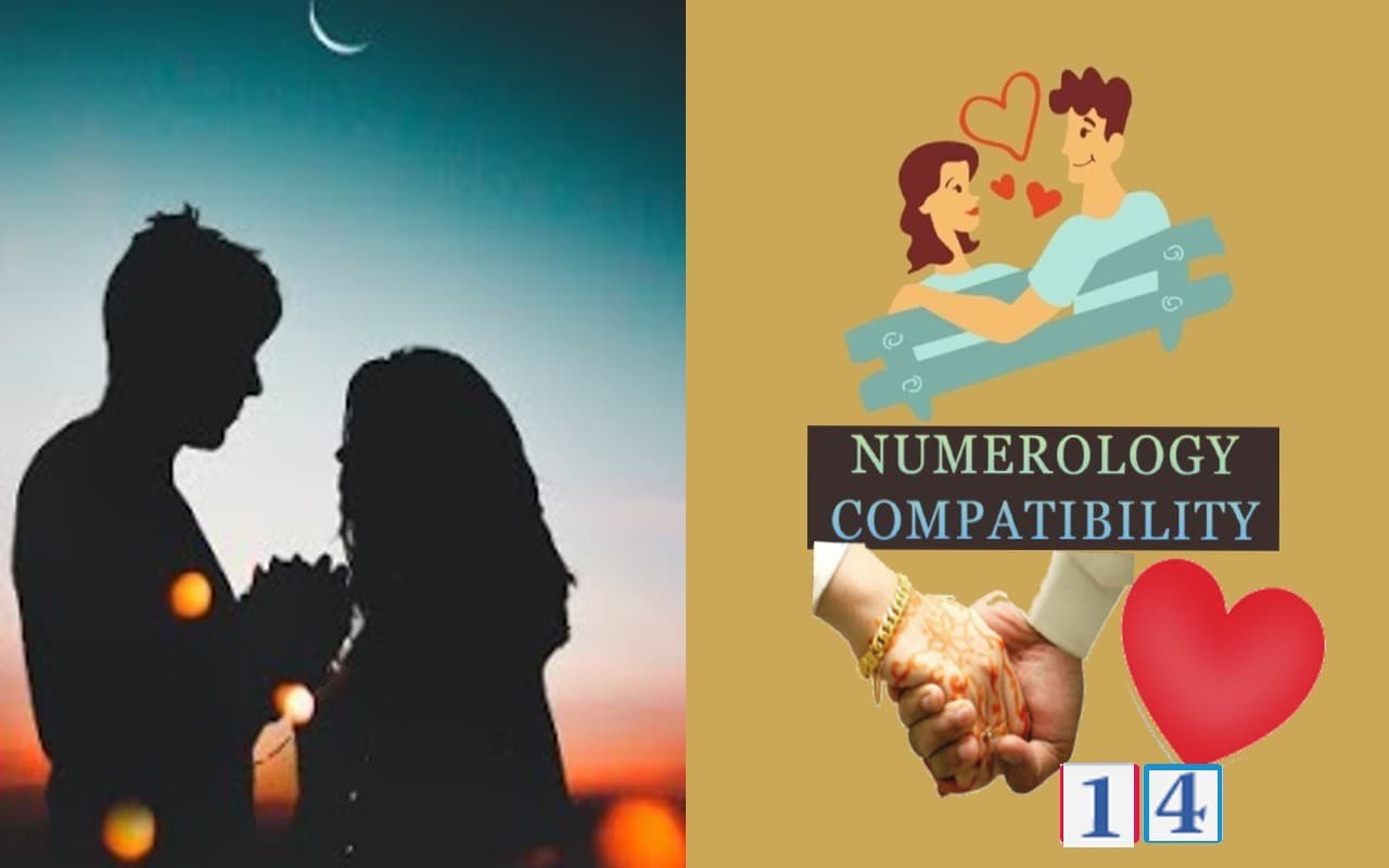 Numerology: मूलांक 1 और 4 वालों का रिश्ता अद्भुत काम कर सकता है, एक-दूसरे की राय का सम्मान . . .