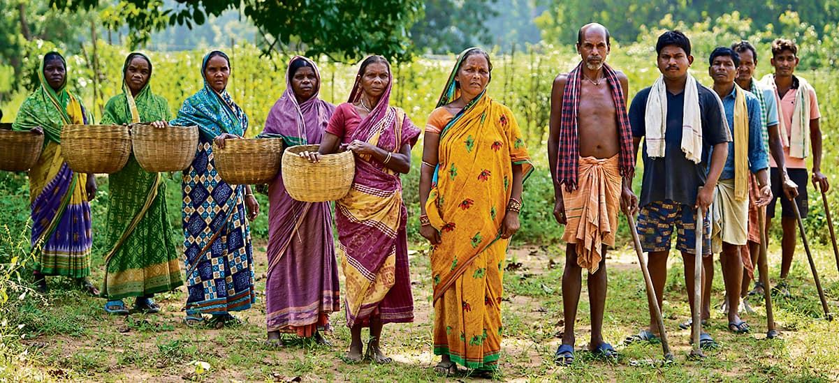 बंजर जमीन पर सब्जियां उगाकर किसान बन रहे आत्मनिर्भर, सुंदरगढ़ के किसानों को मिला मो बाड़ी योजना का लाभ