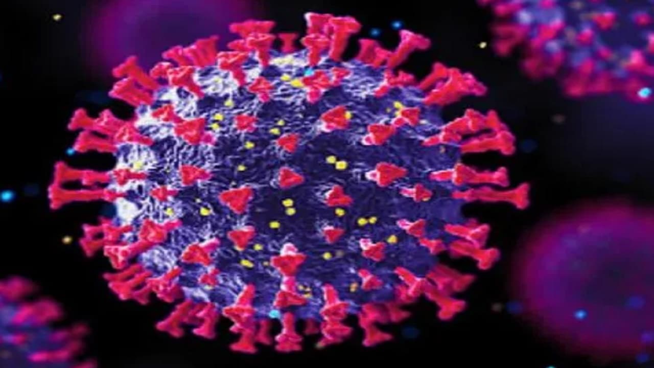 ओमिक्रॉन वेरिएंट को लेकर स्टडी में खुलासा, डेल्टा की तुलना में तीन गुना अधिक पुन: संक्रमण का खतरा