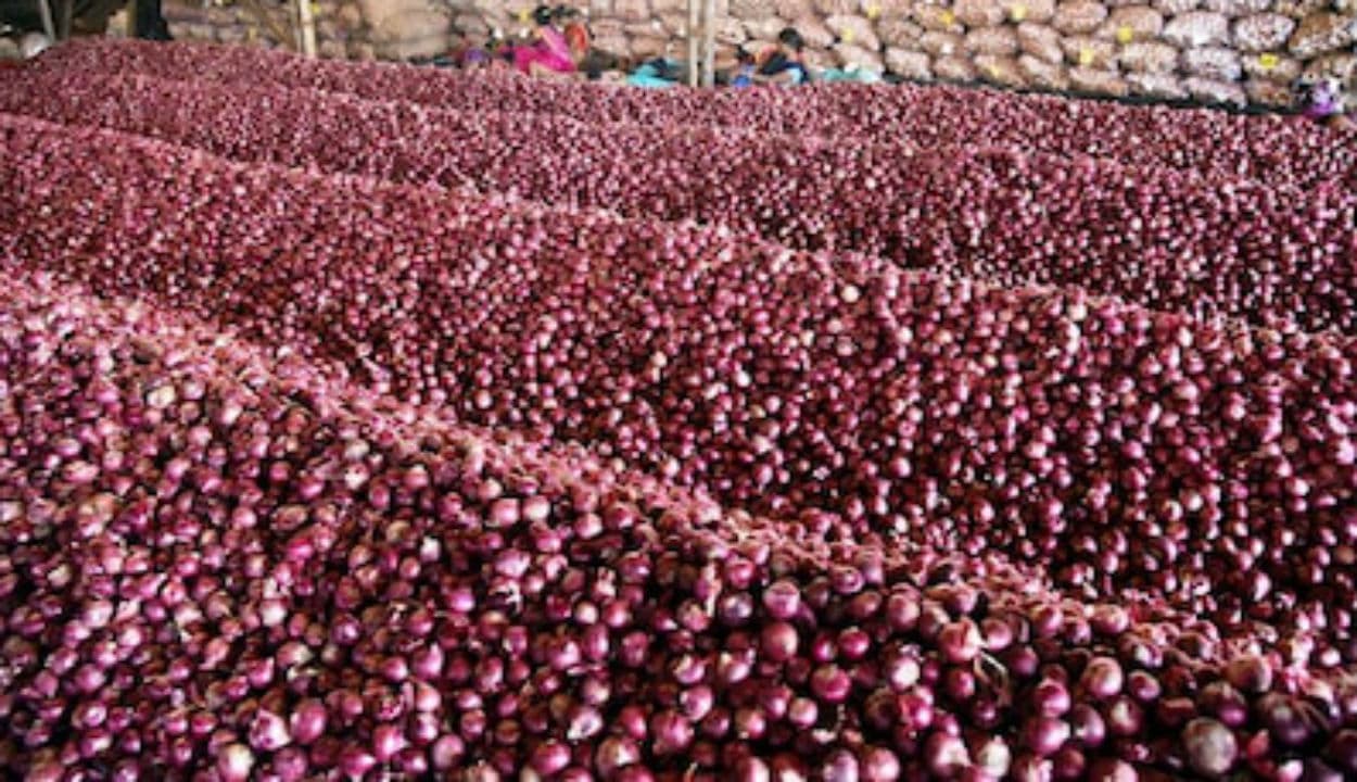 Onion Price: नासिक की मंडियों में आज से शुरू होगी प्याज की बिक्री, निर्यात शुल्क बढ़ने से इस देश की बढ़ी टेंशन