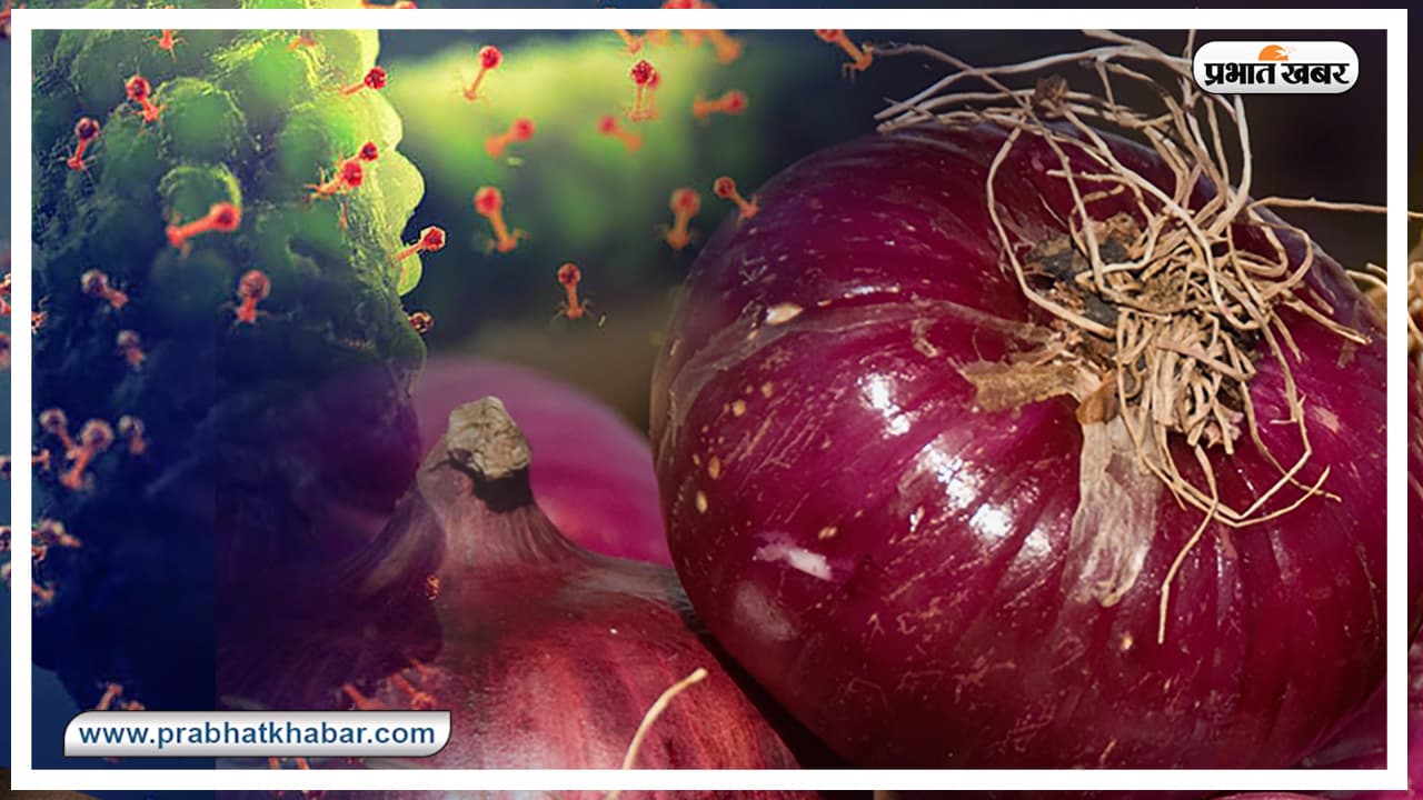 प्याज से फैल रहा ये खतरनाक संक्रमण, अमेरिका के 34 राज्य समेत कनाडा तक प्रभावित, अलर्ट जारी, जानें क्या है इसके लक्षण