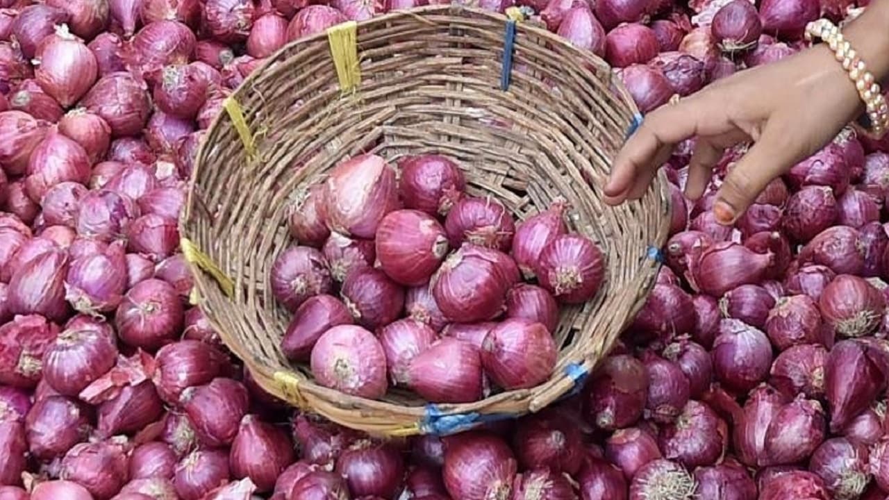 Onion Price: प्याज की कीमतों में लगेगी लगाम, सरकार ने तीन सप्ताह में 12 राज्यों में 36,250 टन ‘बफर’ प्याज बेचा