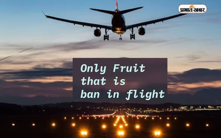 फ्लाइट से ट्रैवल करने के पहले जानें दुनिया का इकलौता फल, जिसे प्लेन में नहीं ले जा सकते पैसेंजर्स