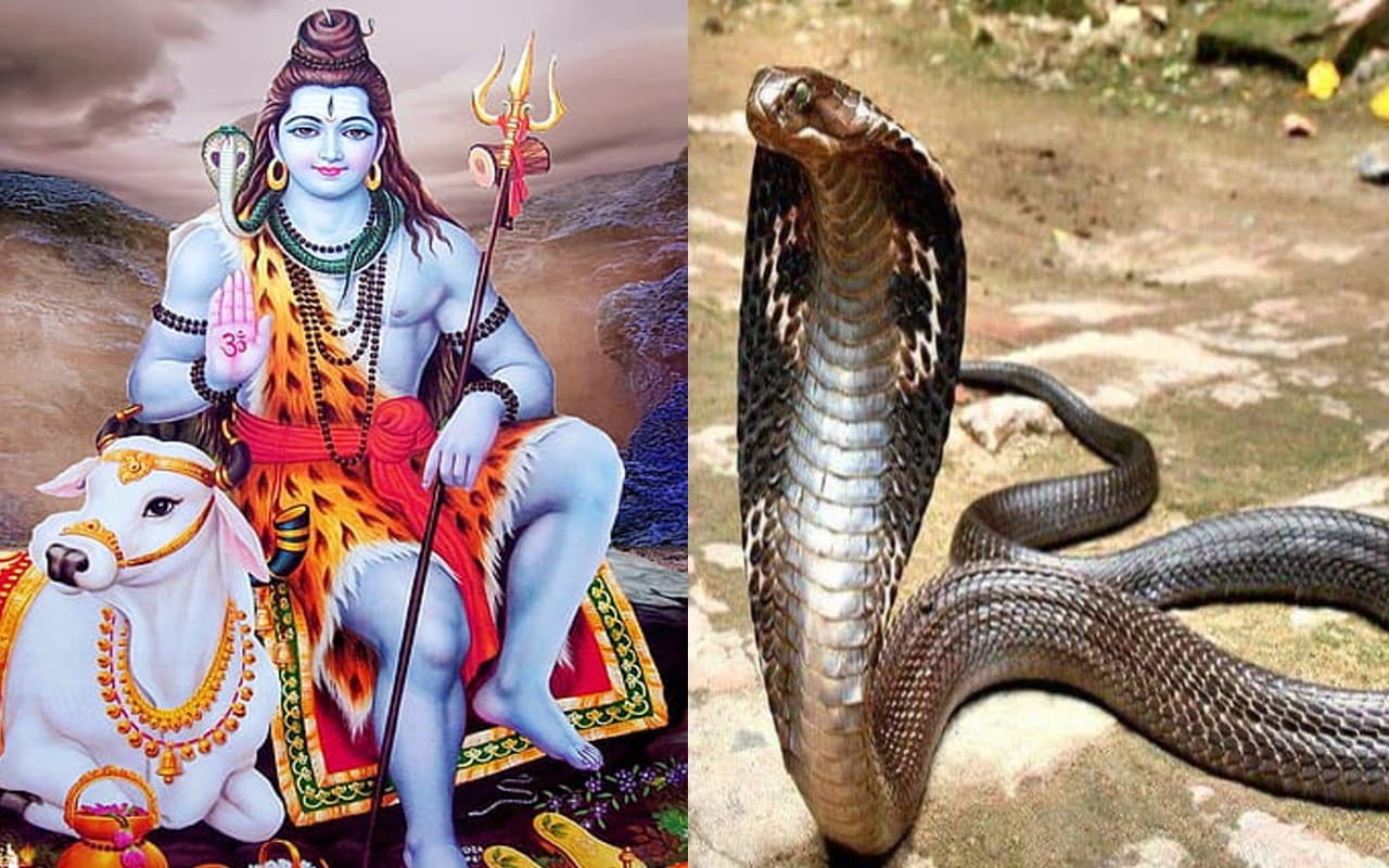 बेटी ने करवाई मां की शादी, दुल्हन की तरह सजाकर किया विदा, देखें प्यारा VIDEO