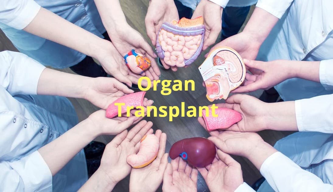 झारखंड में ऑर्गन ट्रांसप्लांट के लिए बनेगी वेबसाइट, देनी होगी पूरी जानकारी, स्वास्थ्य विभाग की क्या है तैयारी