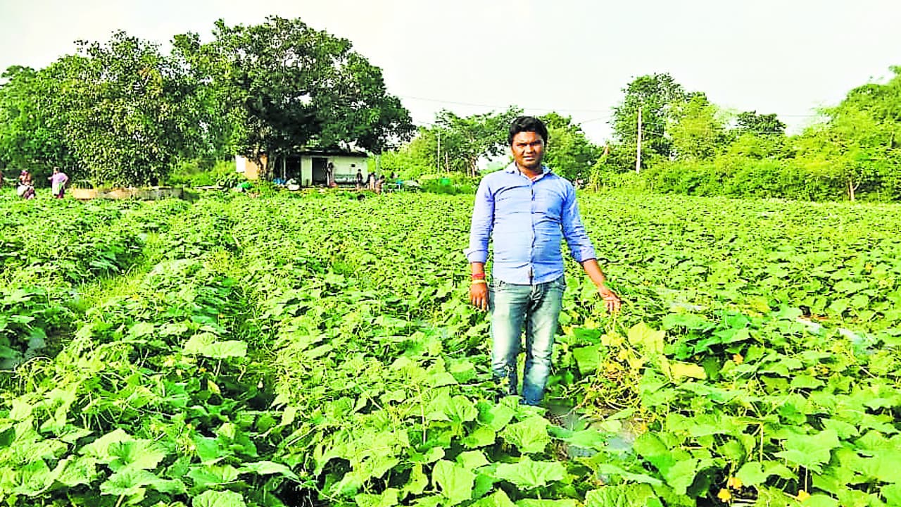 Prabhat Khabar Explainer: परंपरागत खेती की ओर लौट रहे किसान, दलहन- तेलहन और सब्जियों की हो रही जैविक खेती