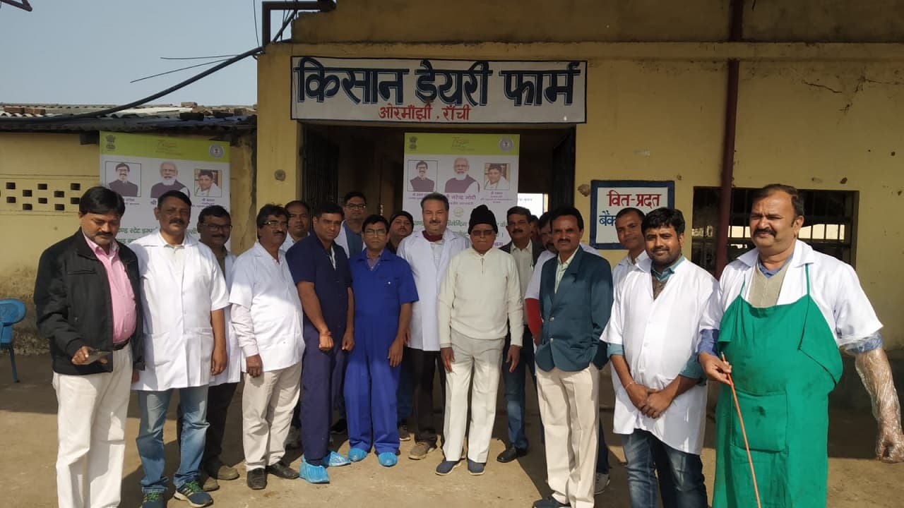 Jharkhand News: किसान डेयरी से शुरू हुआ झारखंड में भ्रूण प्रत्यारोपण, गौपालकों के लिए है कितना फायदेमंद Jharkhand News: किसान डेयरी से शुरू हुआ झारखंड में भ्रूण प्रत्यारोपण, गौपालकों के लिए है कितना फायदेमंद