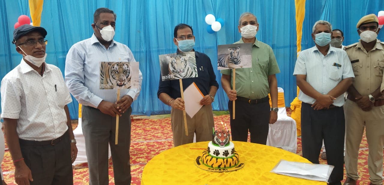 Ormanjhi Zoo Ranchi News : ओरमांझी जू में अनोखे अंदाज में बाघिन अनुष्का के तीनों शावकों का हुआ नामकरण, ये हैं नाम Ormanjhi Zoo Ranchi News : ओरमांझी जू में अनोखे अंदाज में बाघिन अनुष्का के तीनों शावकों का हुआ नामकरण, ये हैं नाम