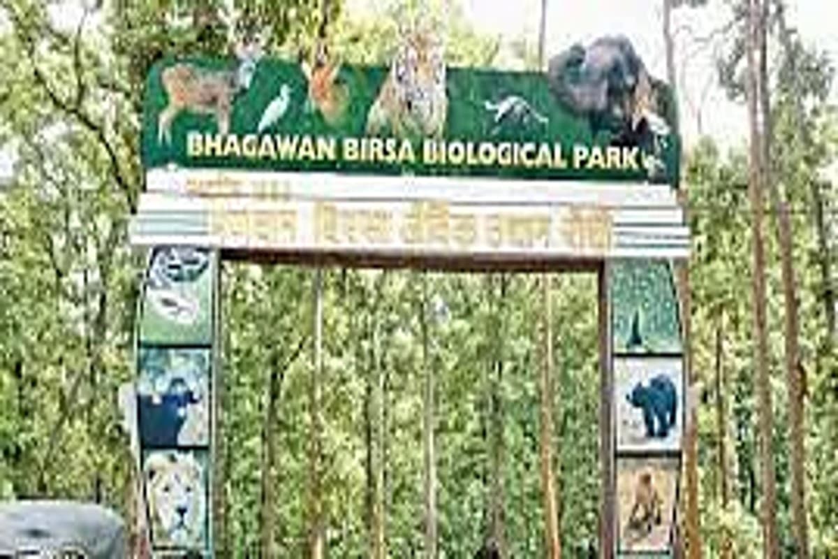 रांची के बिरसा जू में जल्द आयेंगे जेब्रा, कोलकाता से लाने की चल रही तैयारी