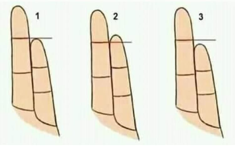 Personality Traits: हाथ की सबसे छोटी उंगली खोल देगी आपकी पर्सनालिटी का राज, जानें कैसे