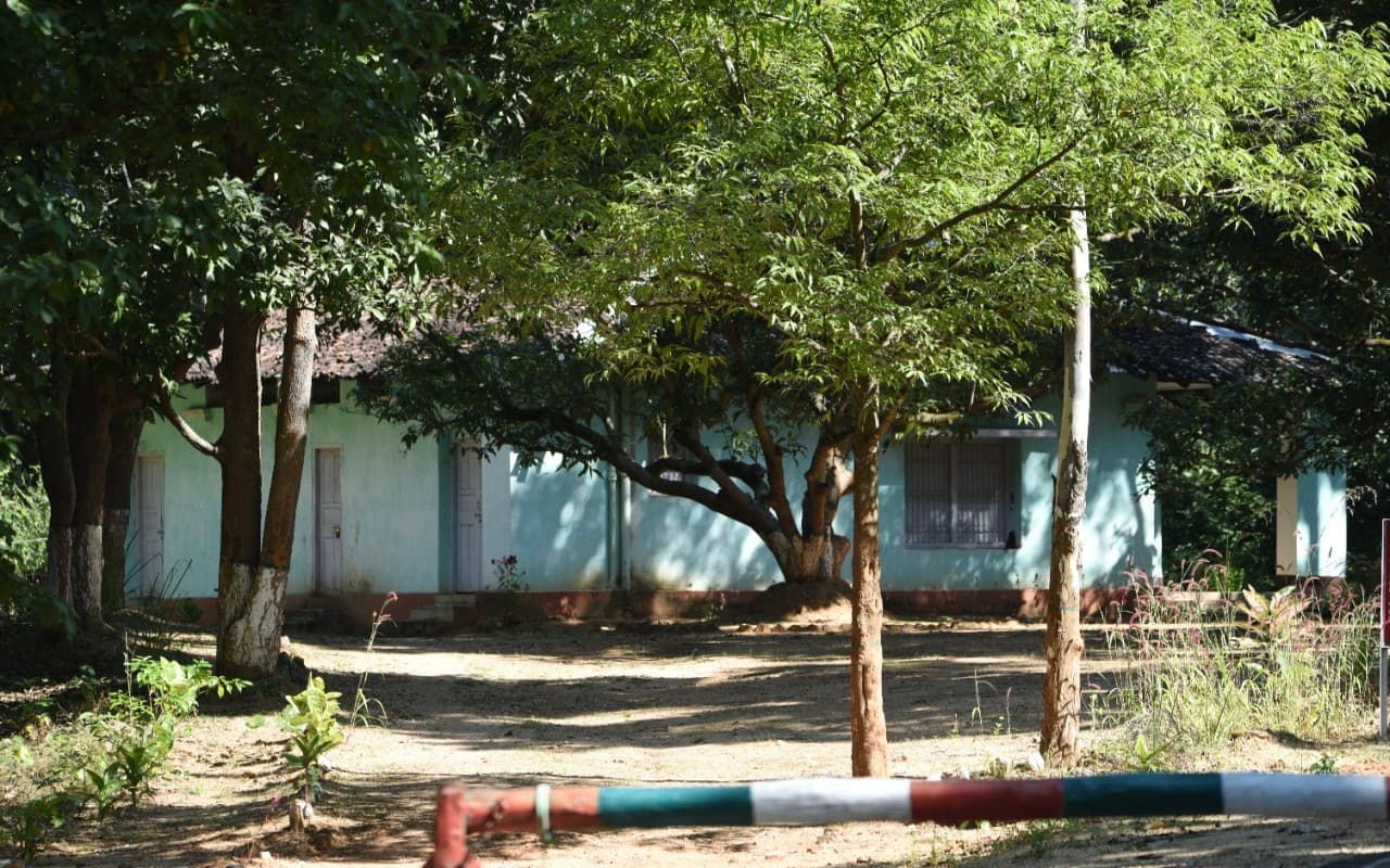 Jharkhand Foundation Day: झारखंड के पलामू टाइगर रिजर्व में ठहरने की है खास व्यवस्था, देखें तस्वीरें