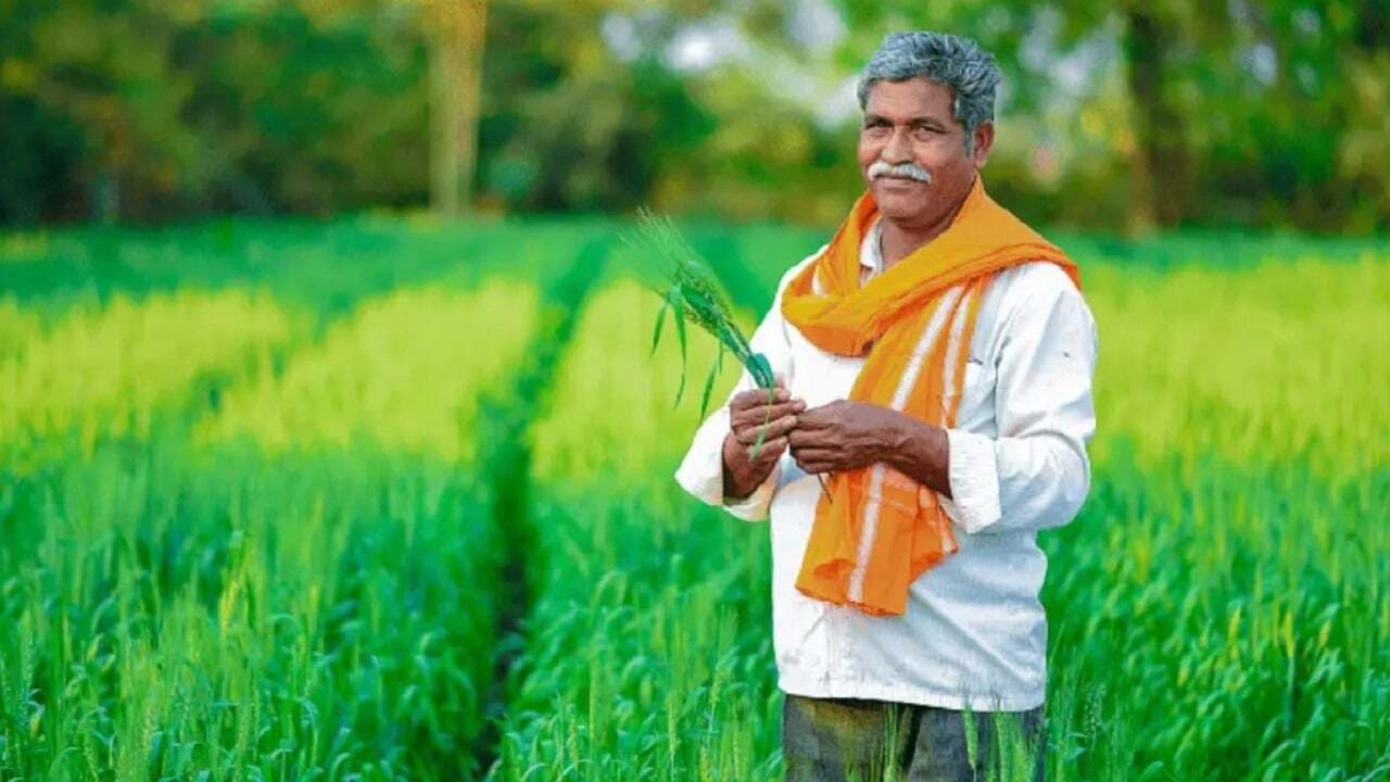 PM Kisan Yojana: सम्मान निधि में वृद्धि का जानें पूरा सच, 15वीं किस्त से पहले यूपी सरकार का बड़ा फैसला