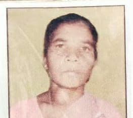 Jharkhand Crime News : झारखंड के पाकुड़ में आदिवासी महिला की हत्या, छह टुकड़ों में शव बरामद, जांच में जुटी पुलिस